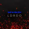 Ldrdo - Lost In the Fire - Single